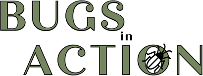 Bugs In Actions