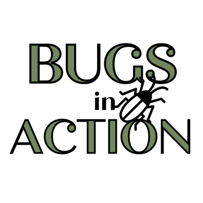 Bugs In Actions