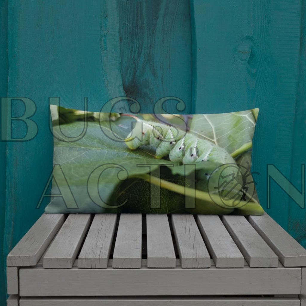 Caterpillar Pillow 20×12