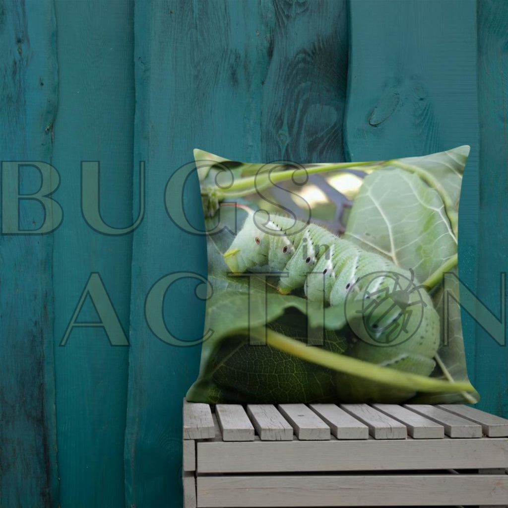Caterpillar Pillow 22×22