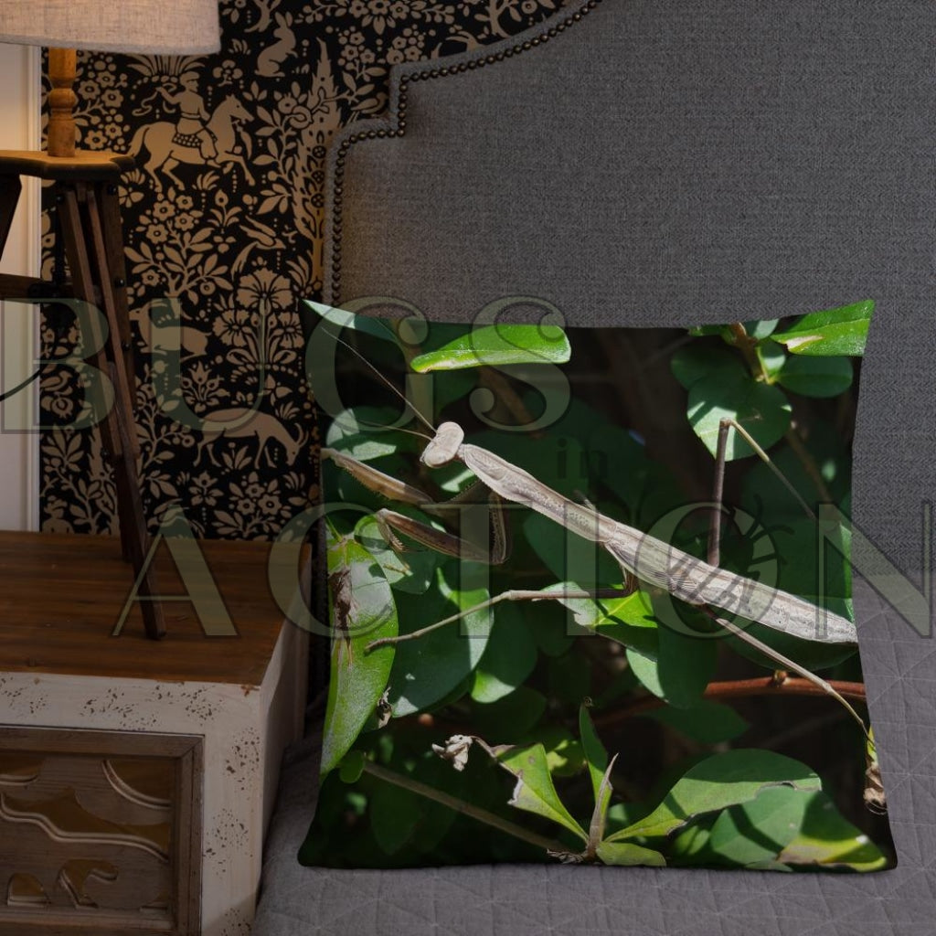 Mantis Pillow 22×22